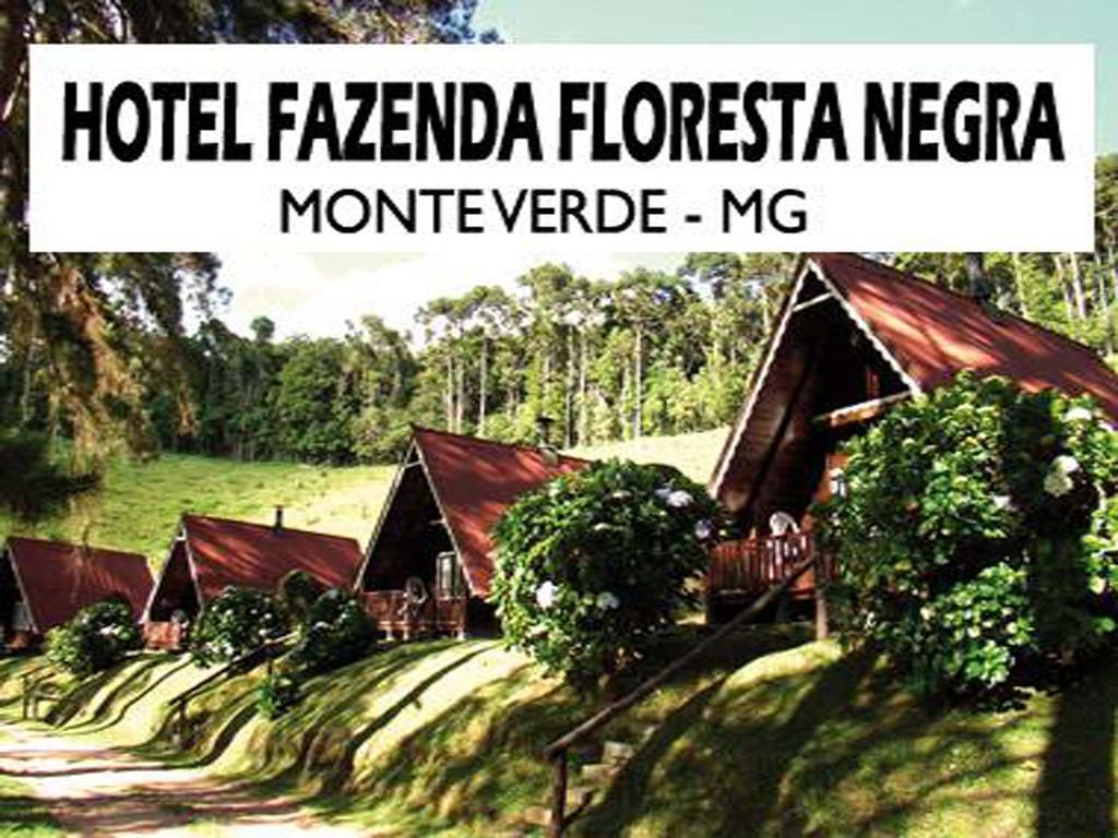 Hotel Fazenda Floresta Negra Monte Verde  Exteriér fotografie