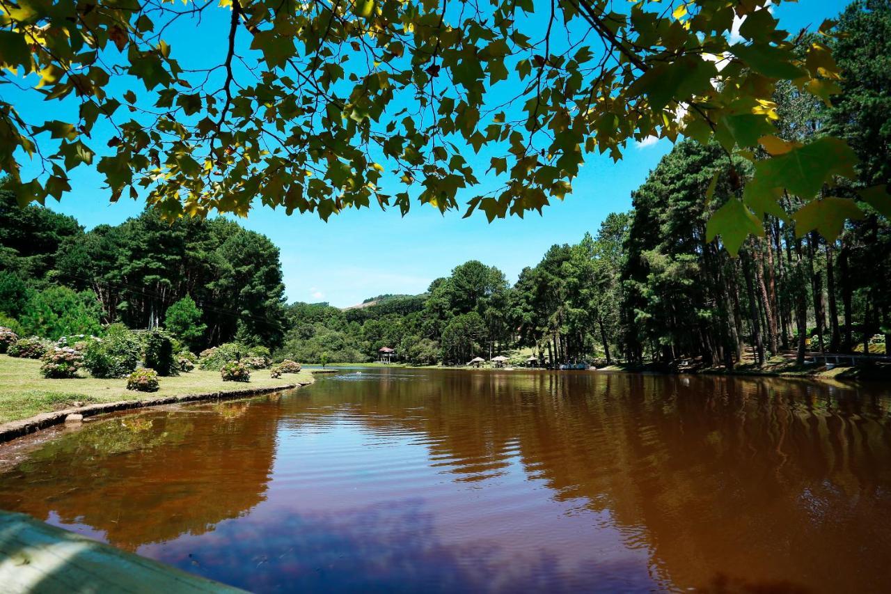 Hotel Fazenda Floresta Negra Monte Verde  Exteriér fotografie