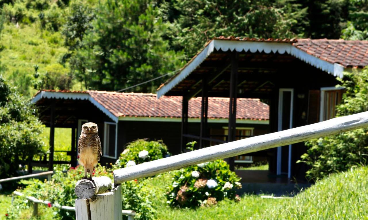Hotel Fazenda Floresta Negra Monte Verde  Exteriér fotografie
