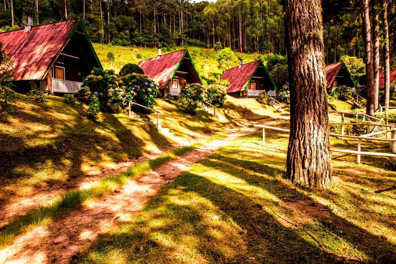 Hotel Fazenda Floresta Negra Monte Verde  Exteriér fotografie